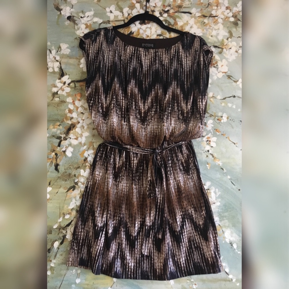 Enfocus Studio Stretchy Dress